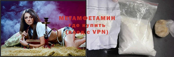 гидра Каменка