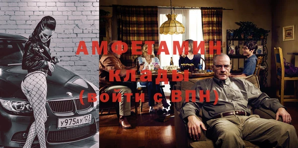 гидра Каменка