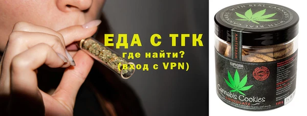 гидра Каменка