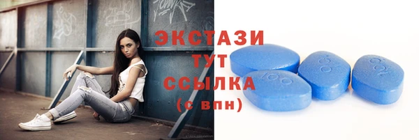 гидра Каменка