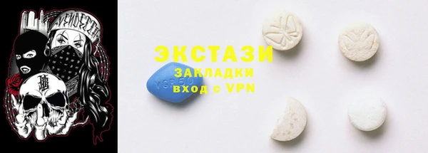 гидра Каменка