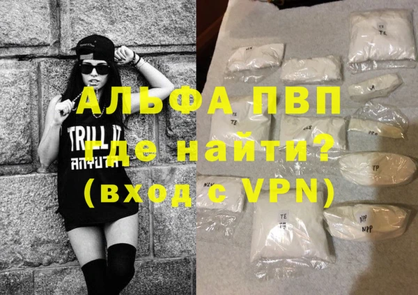 гидра Каменка