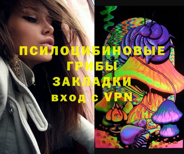 гидра Каменка