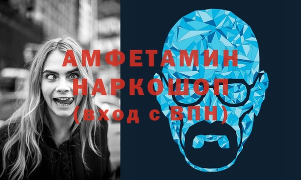 гидра Каменка