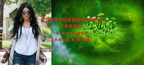 гидра Каменка