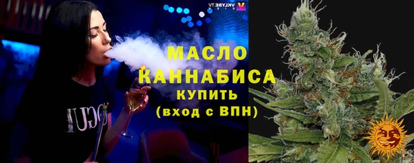 гидра Каменка