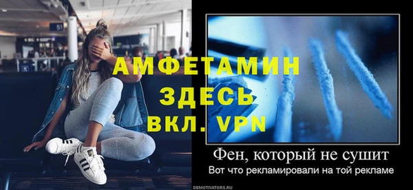 гидра Каменка