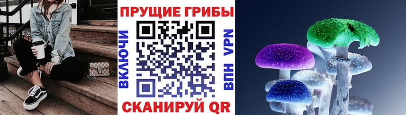 Купить  Верхотурье  Псилоцибиновые грибы Magic Shrooms 